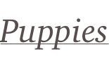 shapeimage_1_link_2